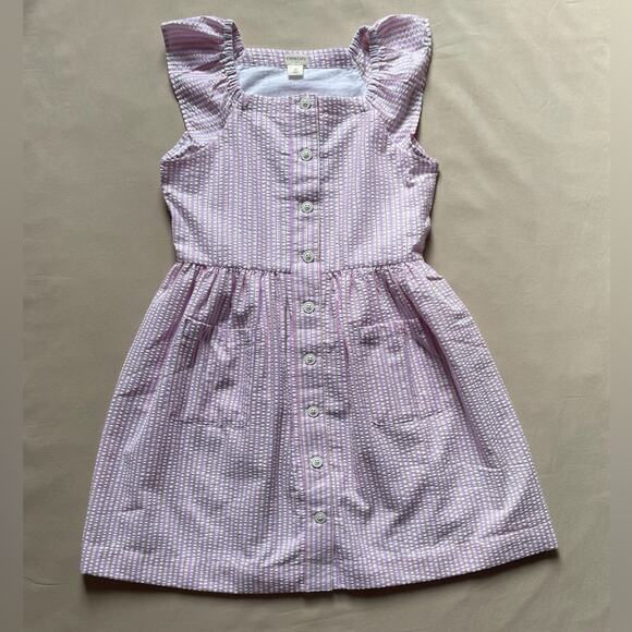 NWT J. Crew Factory Pink Metallic Striped Seersucker Button Front Dress Size 10 - Picture 1 of 7